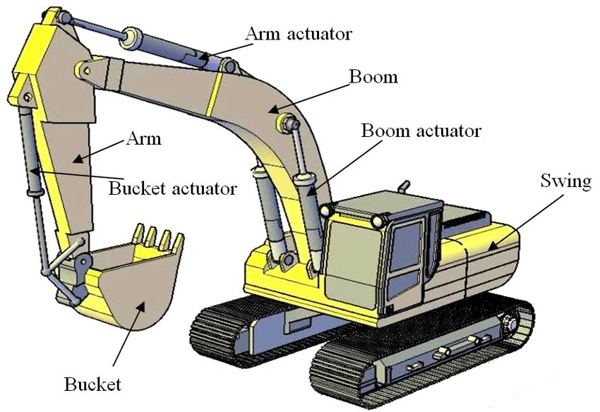 function of